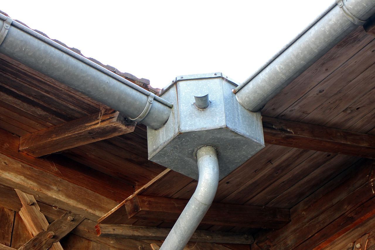Ecologia en intervention sur une toiture
